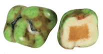Oq shokolatli kiwi dragee 3 kg